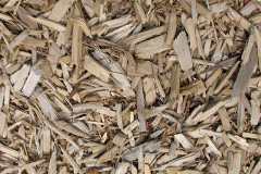 biomass boilers Nercwys